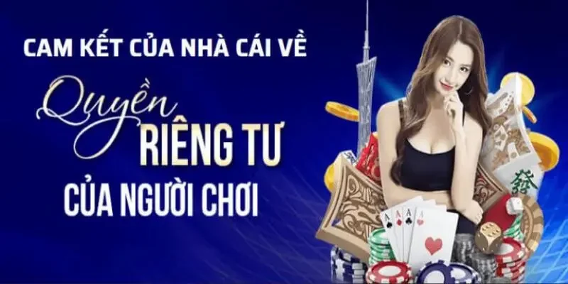 Cam kết về quyền riêng tư của Sin88 dành cho thành viên